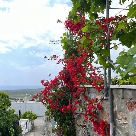 Bella Vista - Near The And Airport Villa
