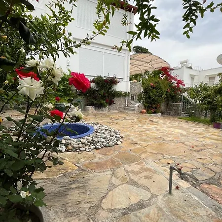 Bella Vista - Near The And Airport Villa