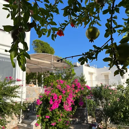 Bella Vista - Near The And Airport Villa Dalaman