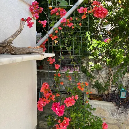 Villa Bella Vista - Near The And Airport Dalaman