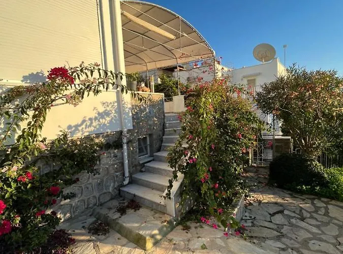 Bella Vista - Near The And Airport Villa