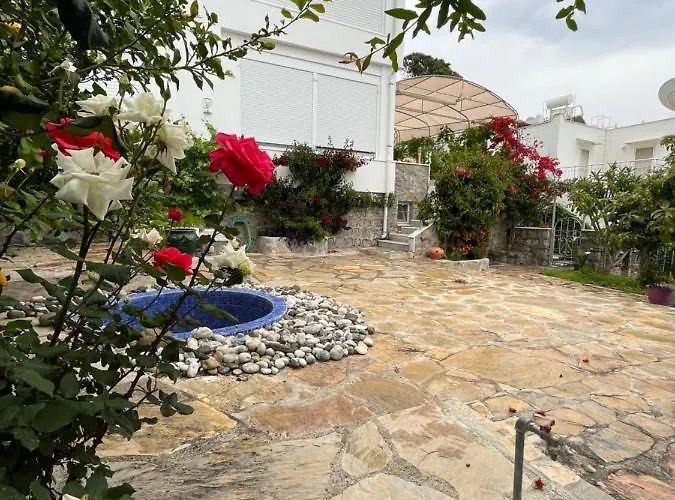 Bella Vista - Near The And Airport Villa