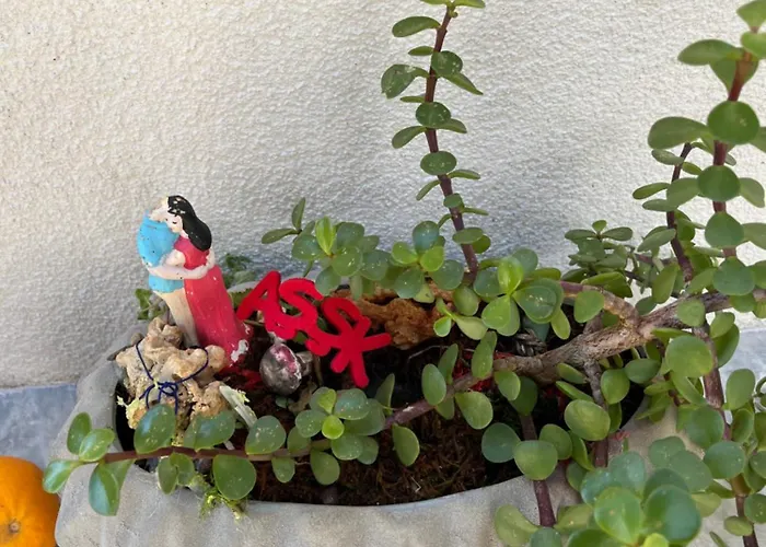 Villa Bella Vista - Near The And Airport Dalaman