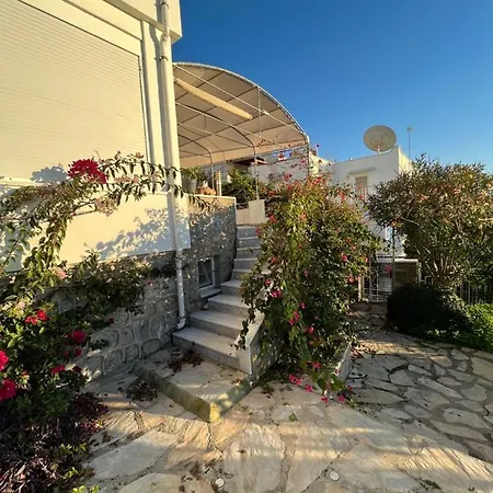 Bella Vista - Near The And Airport Villa