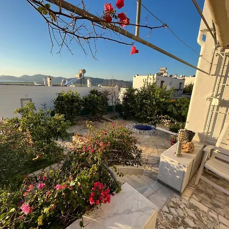 Bella Vista - Near The And Airport *