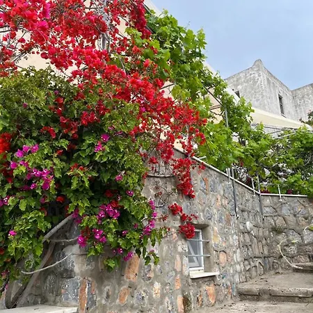 Bella Vista - Near The And Airport ヴィラ