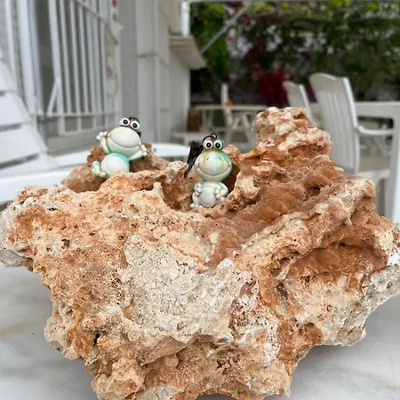 Bella Vista - Near The And Airport *