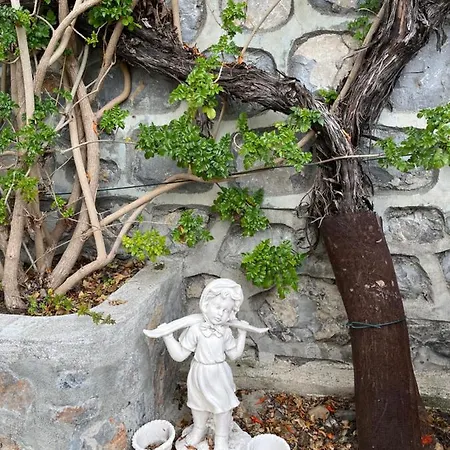 ヴィラ Bella Vista - Near The And Airport ダラマン