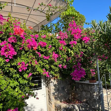 Bella Vista - Near The And Airport Dalaman