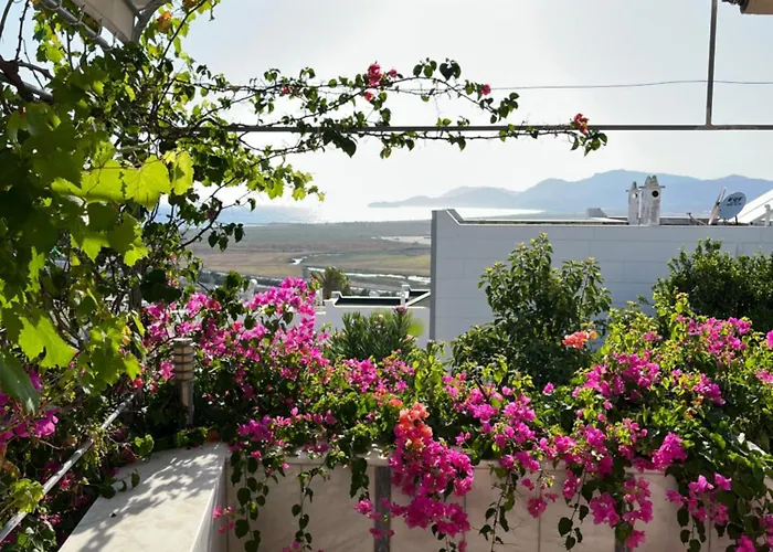 Bella Vista - Near The And Airport *