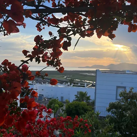 Bella Vista - Near The And Airport