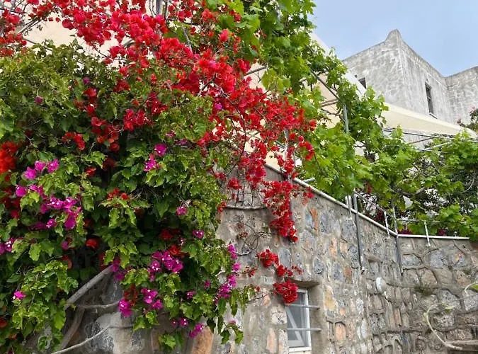 Bella Vista - Near The And Airport Vila