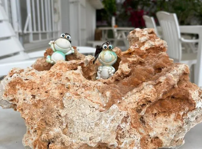 Bella Vista - Near The And Airport *