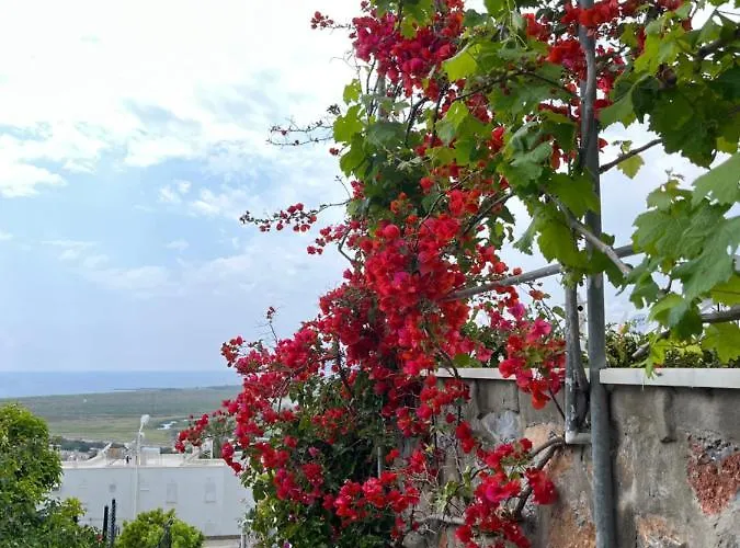 Bella Vista - Near The And Airport Vila