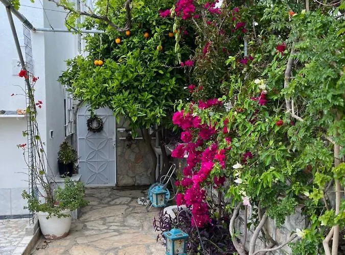 Vila Bella Vista - Near The And Airport