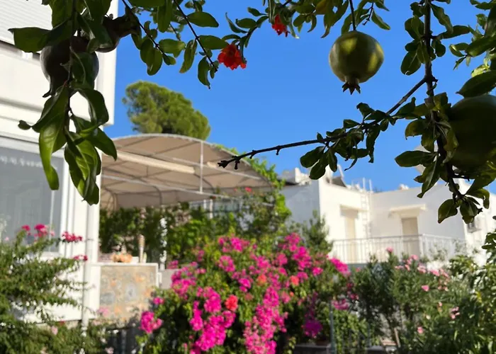 Bella Vista - Near The And Airport Vila Dalaman