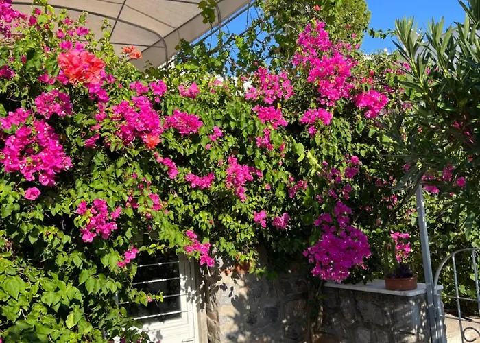 Bella Vista - Near The And Airport ダラマン