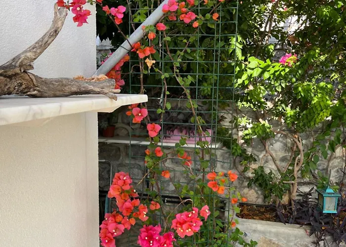 Vila Bella Vista - Near The And Airport Dalaman