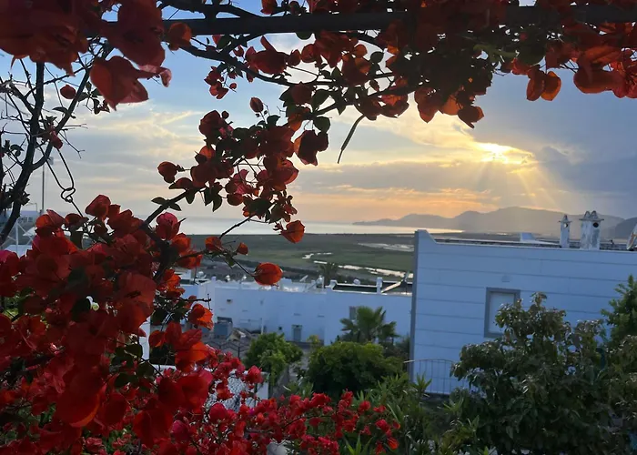 Bella Vista - Near The And Airport